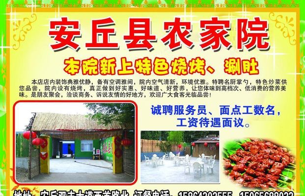 葡萄、黄瓜、西红柿……哈尔滨市香坊区这处农家院“火”了