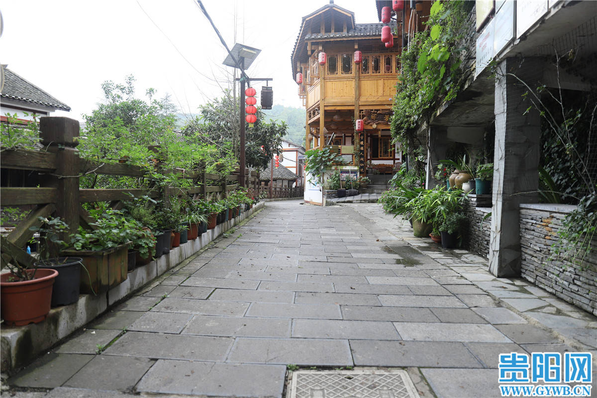 庭院“添景” 农户“生金”！乌当区偏坡布依族乡庭院经济赋能乡