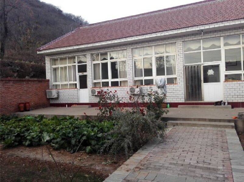 秦岭北麓有“狼”溜入农家院？官方：不排除野生狼可能性