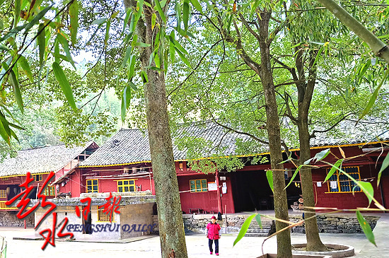 从“办公室”到“农家院”：一场与群众的“双向奔赴”